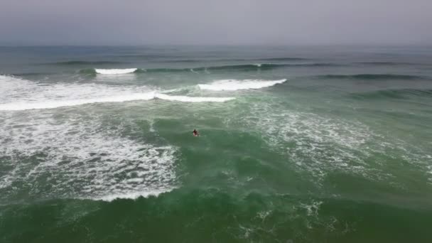 Foto Aerea Surfista Nel Mare Ondulato Murtosa Aveiro Portogallo — Video Stock