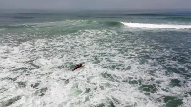 Aerial Side Shot Surfer Wavy Sea Murtosa Aveiro Portugal — Stock Video