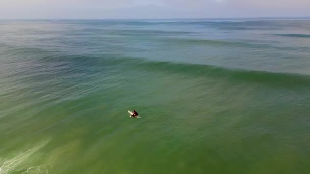 Aerial Sidoskott Surfare Det Vågiga Havet Murtosa Aveiro Portugal — Stockvideo