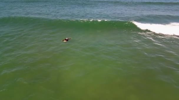 Vue Aérienne Surfeur Dans Mer Ondulée Murtosa Aveiro Portugal — Video