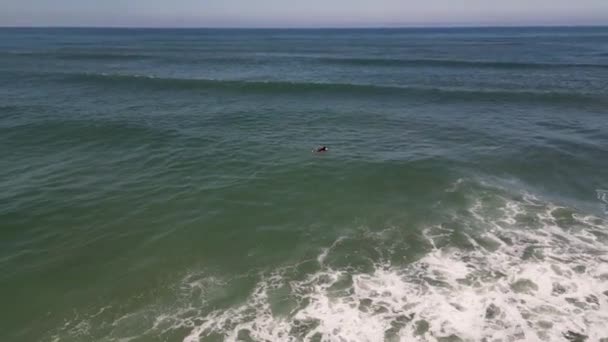 波状の海でサーファーの空中側のショット ムルトサ アヴェイロ ポルトガル — ストック動画