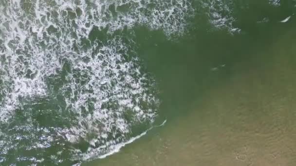 Aerial Side Shot Surfer Wavy Sea Murtosa Aveiro Portugal — Stock Video