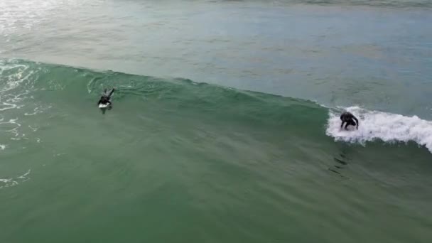 Surfistas Tratando Coger Misma Ola Una Tarde Nublada — Vídeo de stock