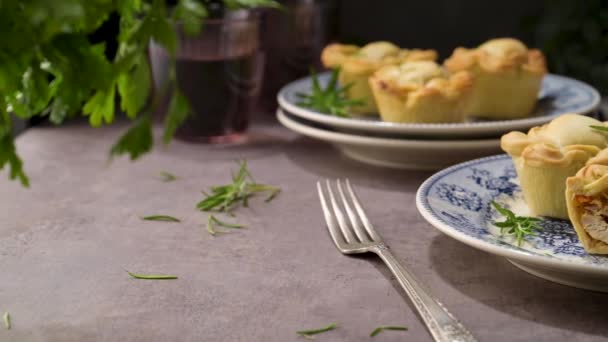 Collation Portugaise Typique Avec Viande Tartes Poulet Connues Sous Nom — Video