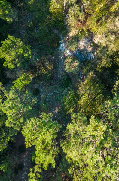 Ovar Portugal October 2022 Waste Demolition Works Dump Forest Perimeter — Stock Photo, Image