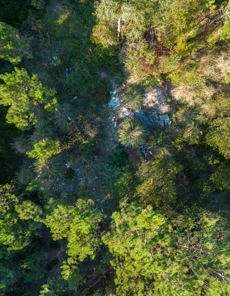 Ovar Portugal October 2022 Waste Demolition Works Dump Forest Perimeter — Stock Photo, Image