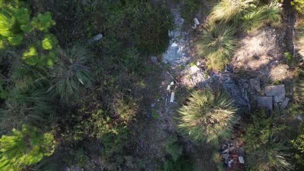 Ovar Portugal 2022年10月11日 拆除工程产生的废物 葡萄牙Dunas Ovar森林周界的垃圾 — 图库视频影像