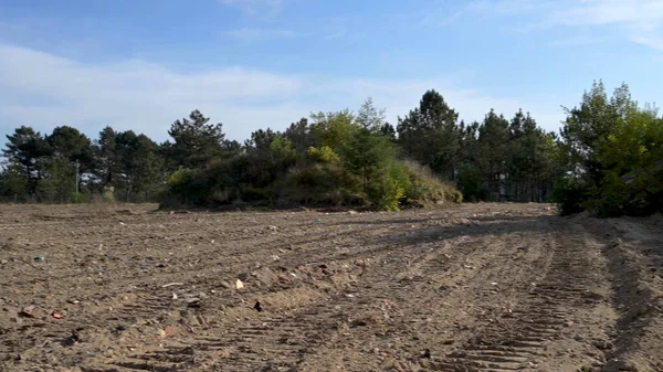 Ovar Portugal Febrero 2022 Dump Forest Perimeter Dunas Ovar Portugal —  Fotos de Stock