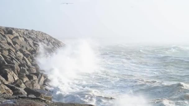 Ovar Portugal Октября 2022 Sea Rises Seafront Furadouro Ovar Продвижение — стоковое видео
