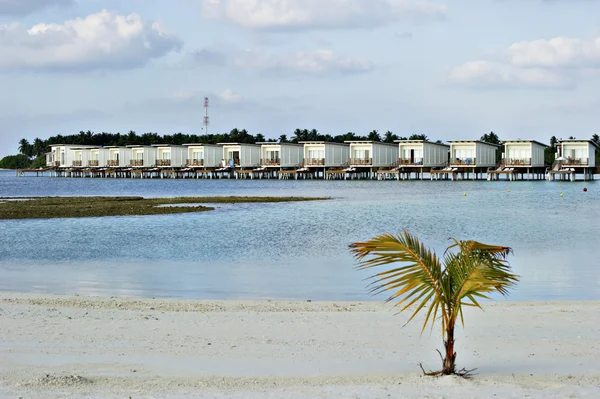 Playa tropical — Foto de Stock