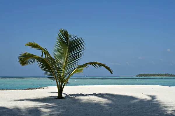 Praia tropical — Fotografia de Stock