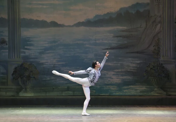 A klasszikus balett--a Hattyúk tava — Stock Fotó