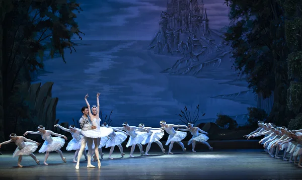 The classic ballet--swan lake — Stock Photo, Image