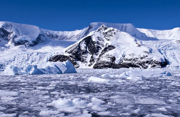 Antarctic iceberg — Stock Photo, Image