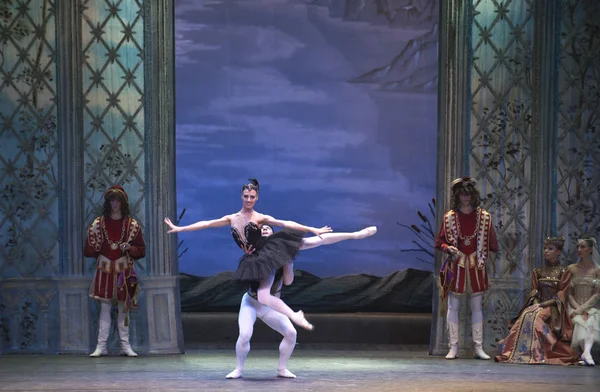 The classic ballet--swan lake — Stock Photo, Image