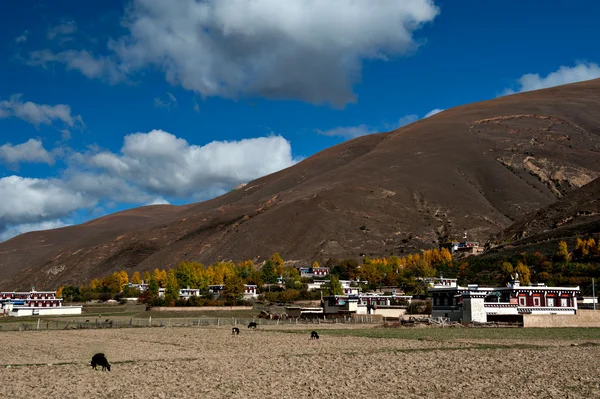 A paisagem rural — Fotografia de Stock