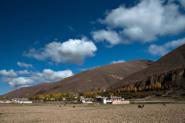 A paisagem rural — Fotografia de Stock