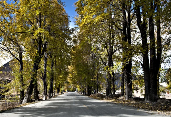 The national road — Stock Photo, Image