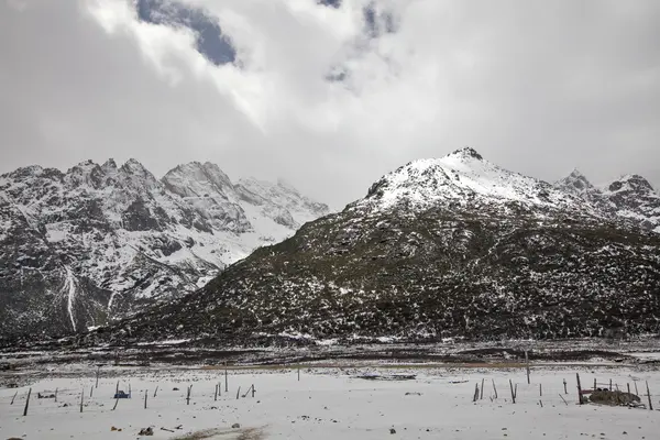 The snow landscape — Stock Photo, Image