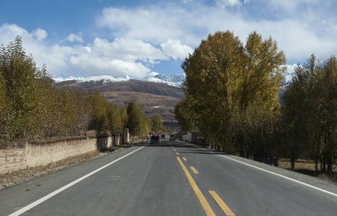Yayla yolu