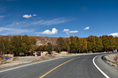 Yayla yolu