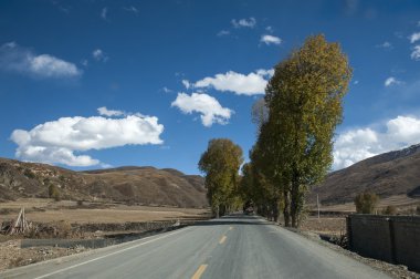 Yayla yolu