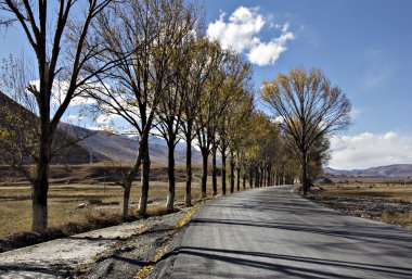Yayla yolu