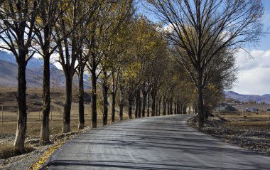 Yayla yolu