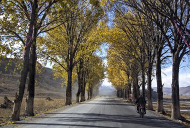 Yayla yolu
