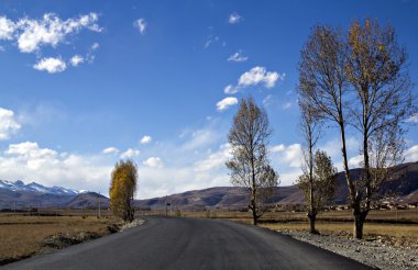 Yayla yolu