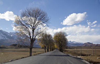 Yayla yolu