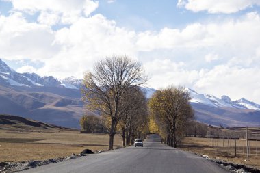 Yayla yolu