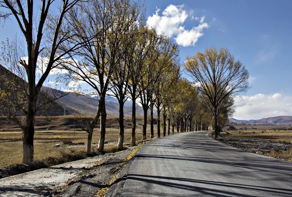 Strada di Highland — Foto Stock