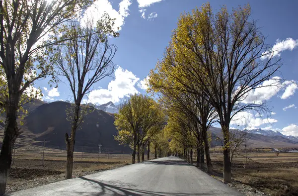 Yayla yolu — Stok fotoğraf