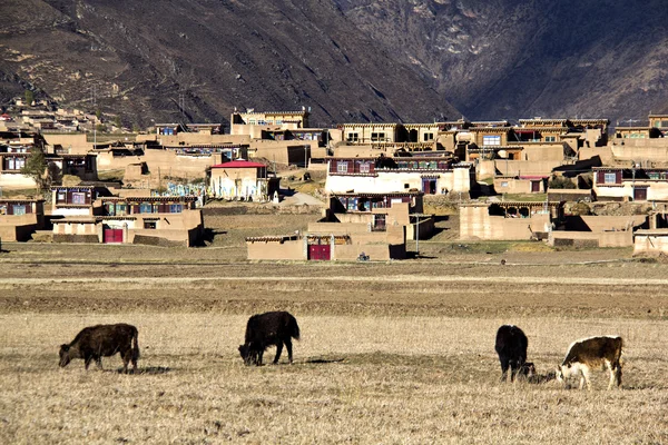 Manzara — Stok fotoğraf