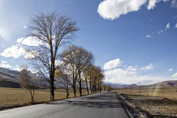 Highland road — Stock Photo, Image