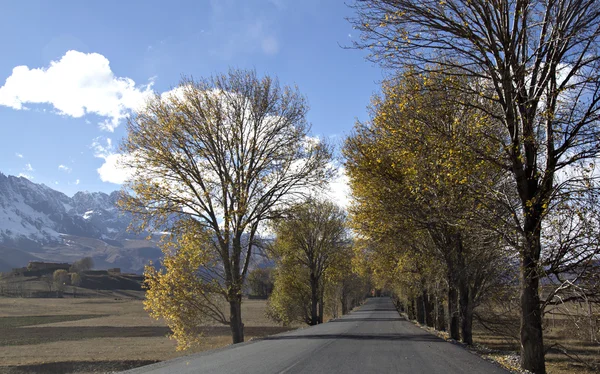 Yayla yolu — Stok fotoğraf