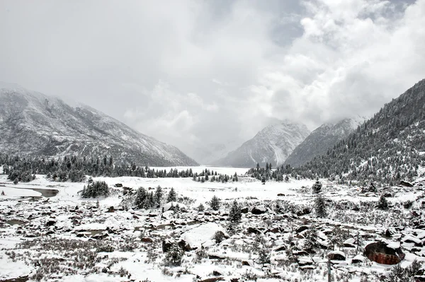 Snow landscape — Stock Photo, Image