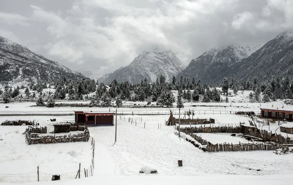 Manzara — Stok fotoğraf