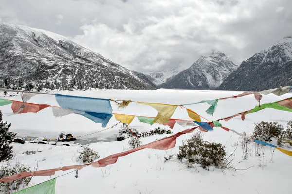 Paesaggio neve — Foto Stock