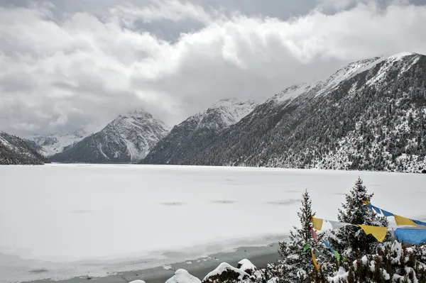 Snow landscape — Stock Photo, Image