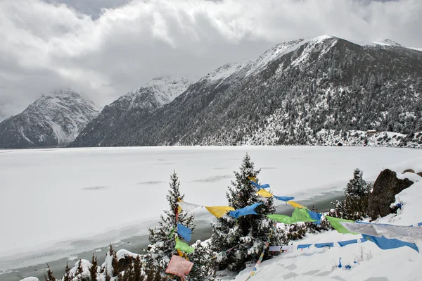 Snow landscape — Stock Photo, Image