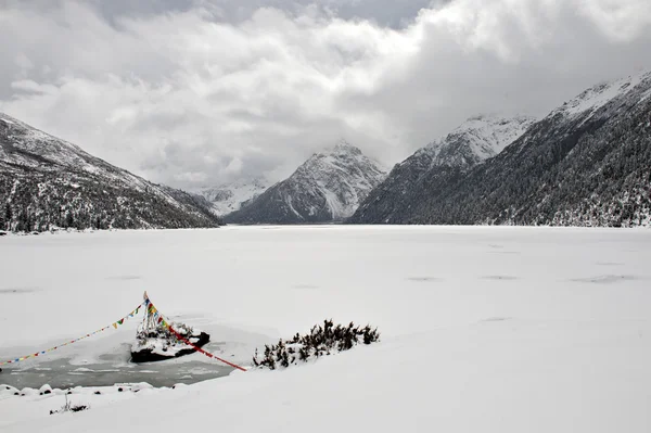 Snö landskap — Stockfoto