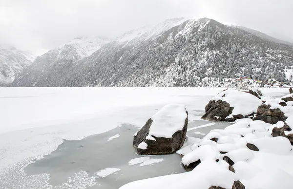 Nieve paisaje — Foto de Stock