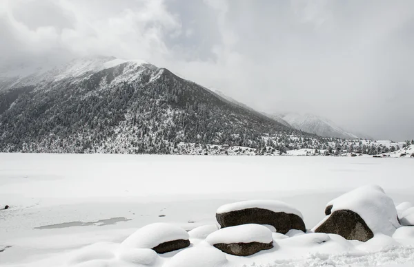 Snö landskap — Stockfoto