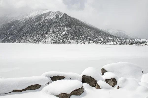 Nieve paisaje — Foto de Stock