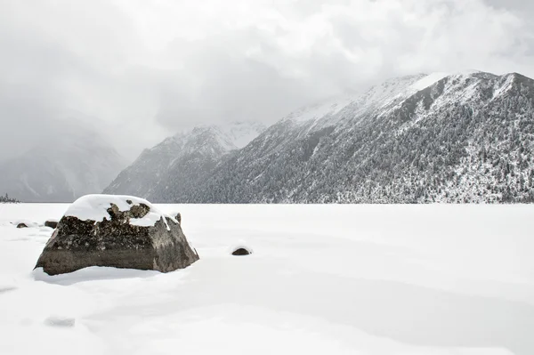 Snow landscape — Stock Photo, Image