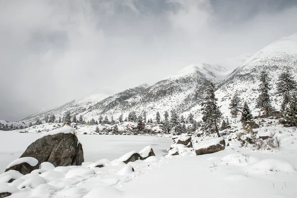 Snow krajina — Stock fotografie