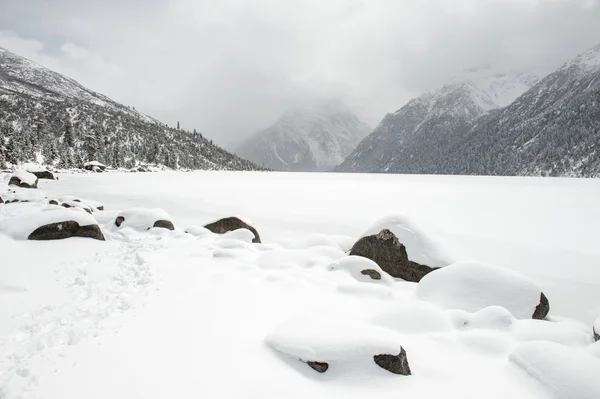 Paesaggio neve — Foto Stock