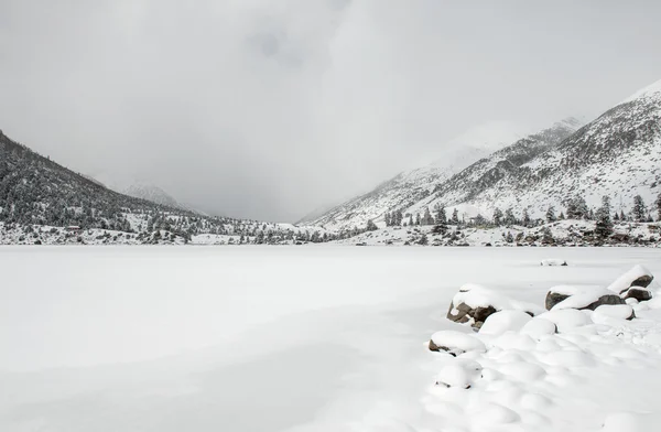 Snow krajina — Stock fotografie